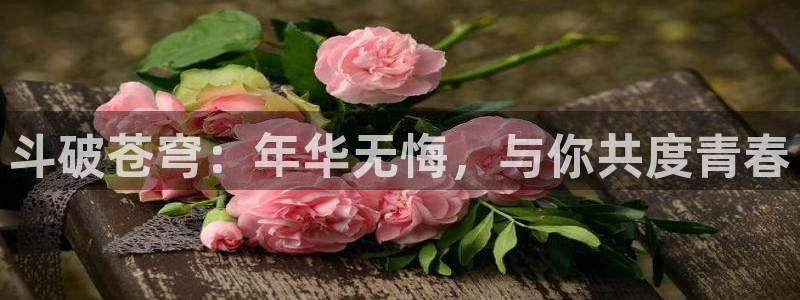 囧次元官方网站入口