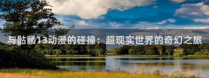 囧次元软件下载