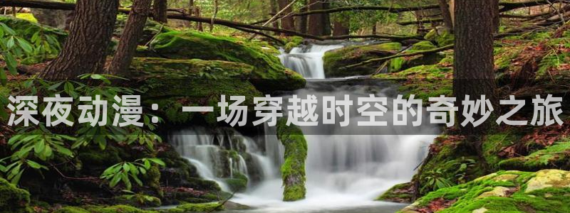 囧次元看动漫免费