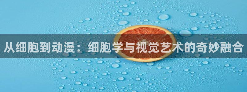 囧次元动漫app正版