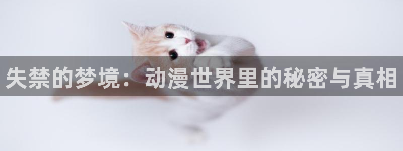 囧次元网站入口